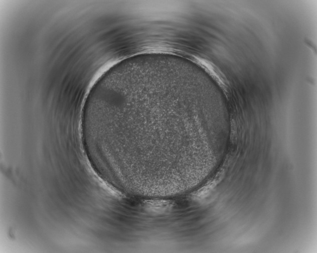 X0000096421331200802071654