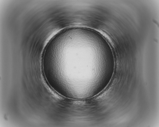 X0000096421333200802071654