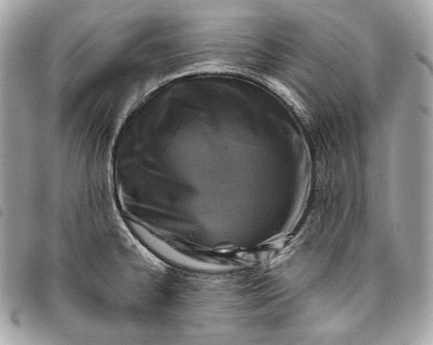 X0000096421334200802071654