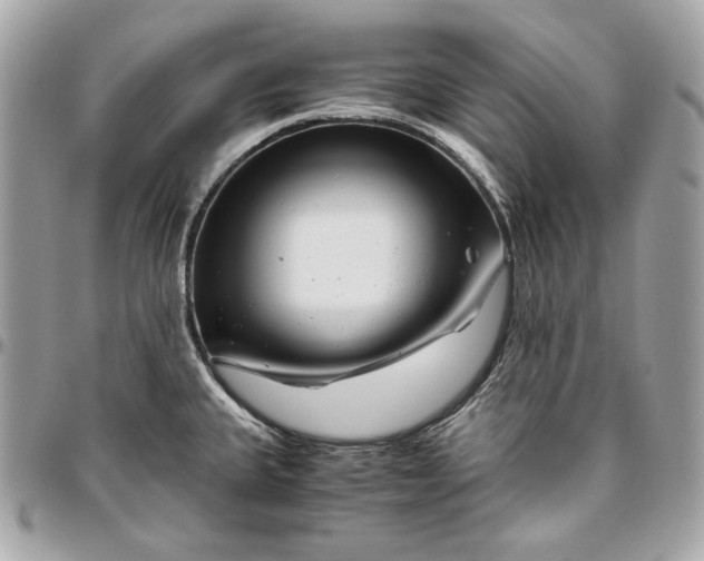 X0000096421335200802071654