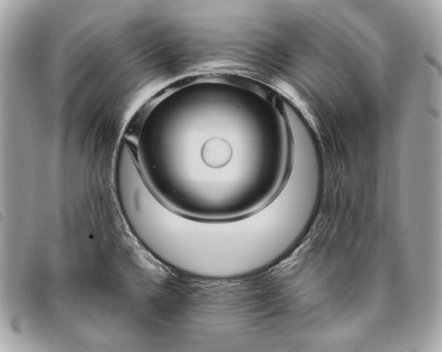 X0000096421336200802071654