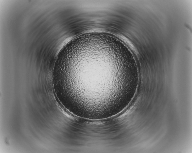 X0000096421337200802071654