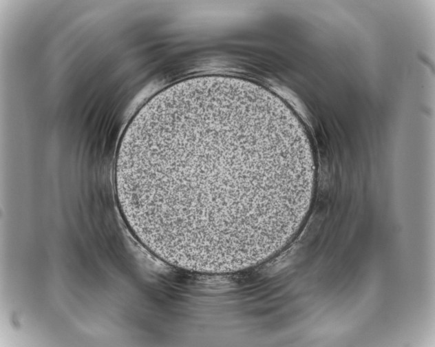 X0000096421338200802071654