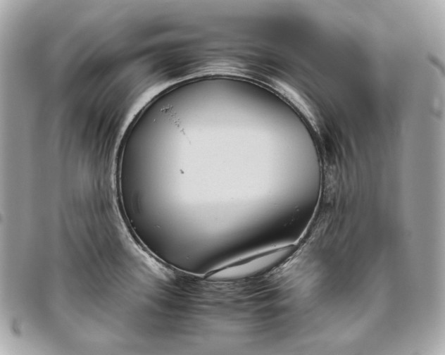 X0000096421339200802071654