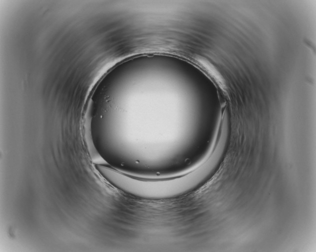 X0000096421340200802071654