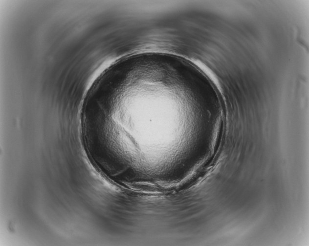 X0000096421341200802071654