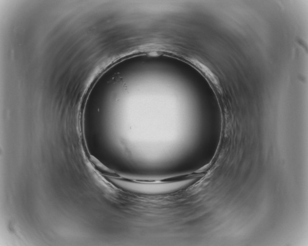 X0000096421342200802071654