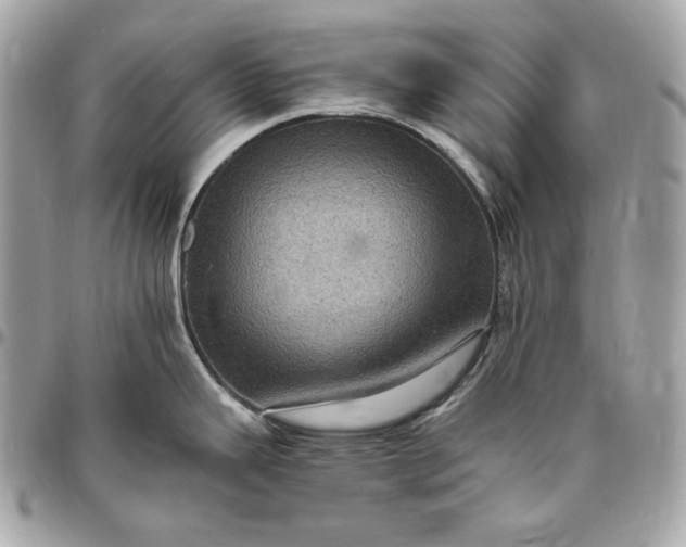 X0000096421343200802071654