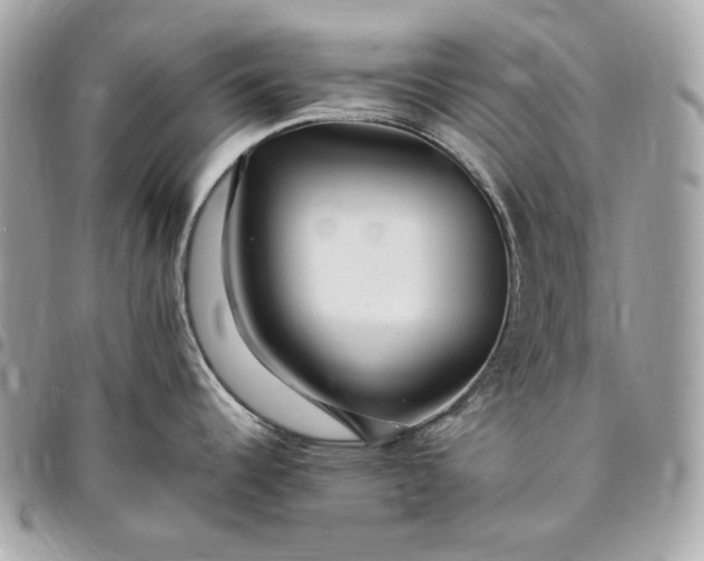 X0000096421344200802071654