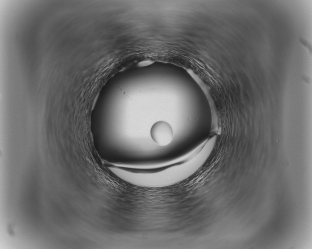 X0000096421345200802071653