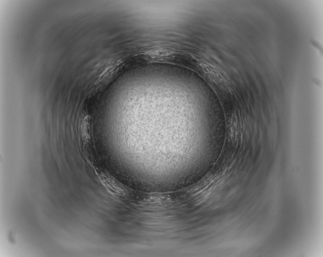 X0000096421346200802071653