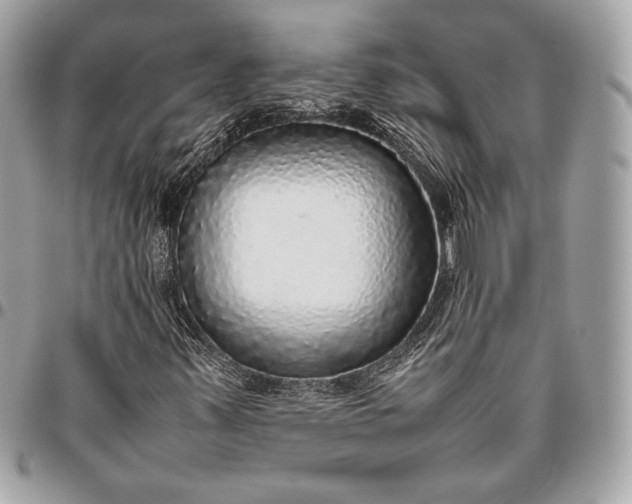 X0000096421347200802071653