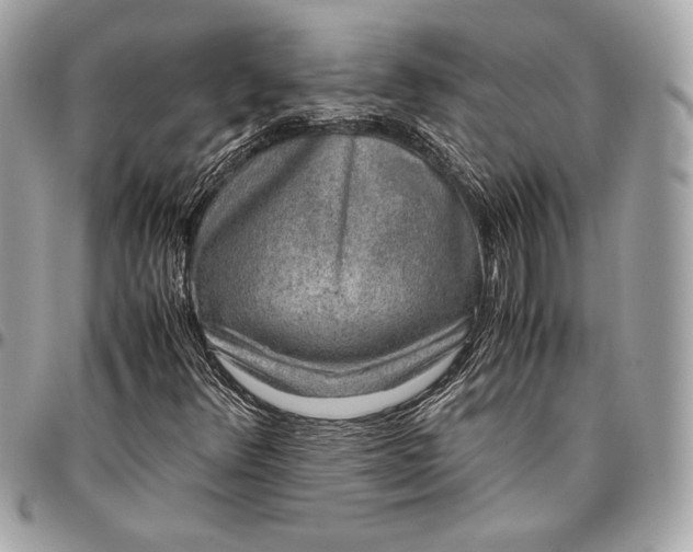 X0000096421348200802071653