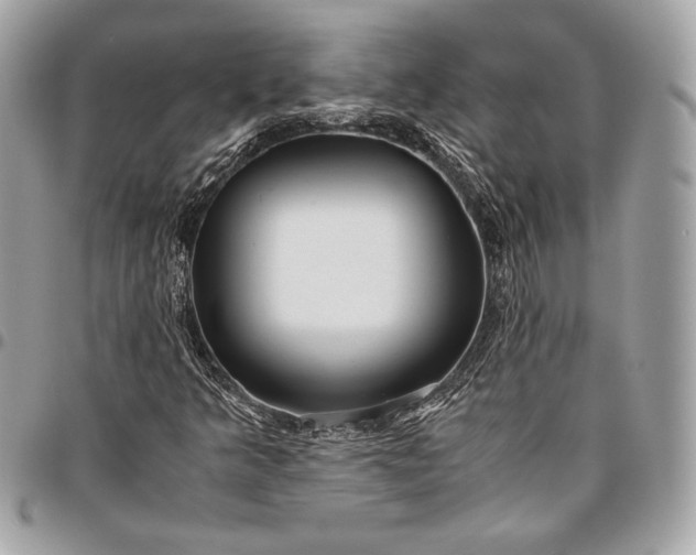 X0000096421349200802071653