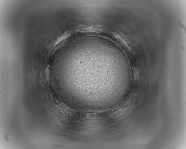 X0000096421350200802071653