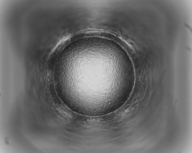 X0000096421351200802071653