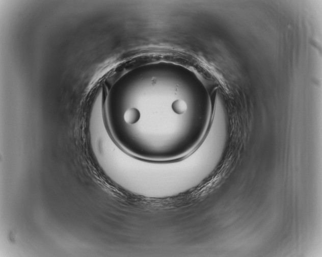 X0000096421352200802071653