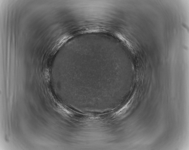 X0000096421353200802071653