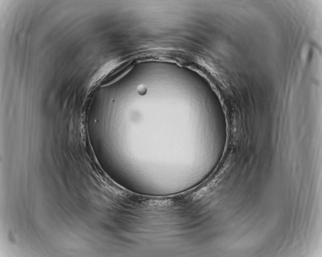 X0000096421354200802071653