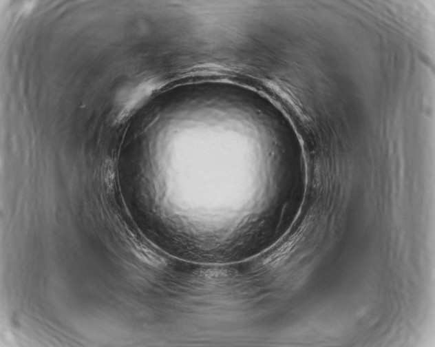 X0000096421355200802071653