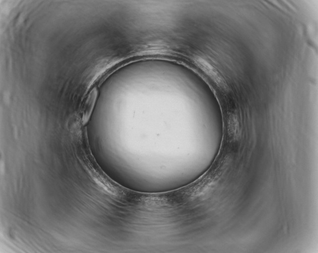 X0000096421356200802071653