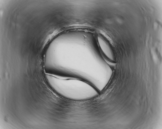 X0000096421357200802071653