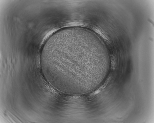 X0000096421358200802071653