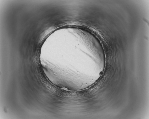 X0000096421359200802071653