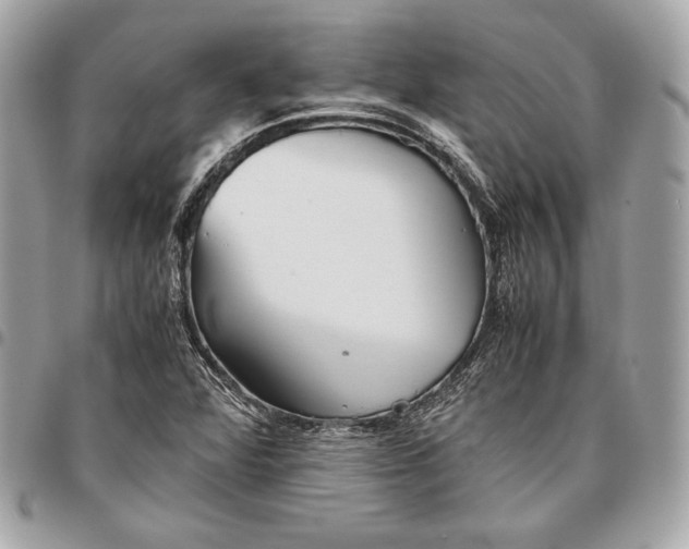 X0000096421360200802071653