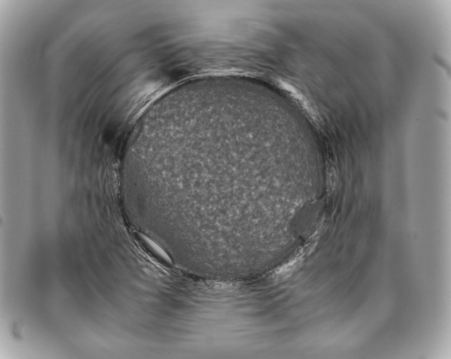 X0000096421361200802071653