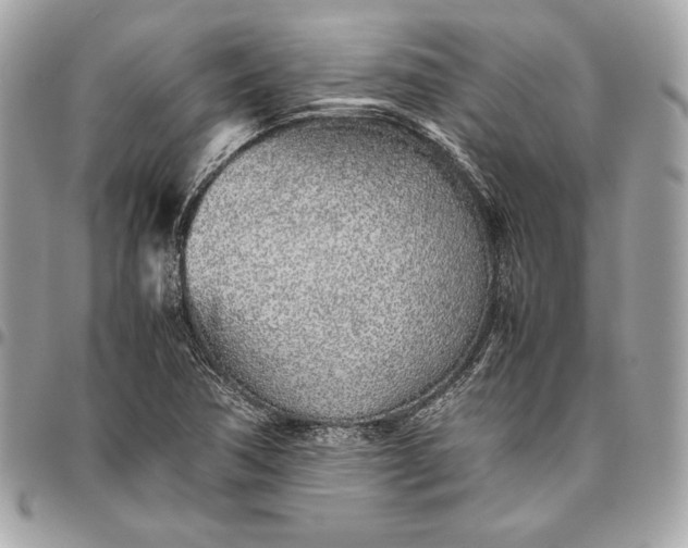 X0000096421362200802071653