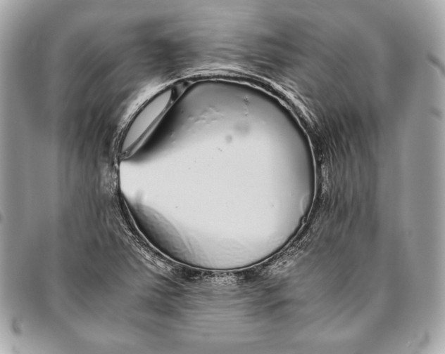 X0000096421363200802071653