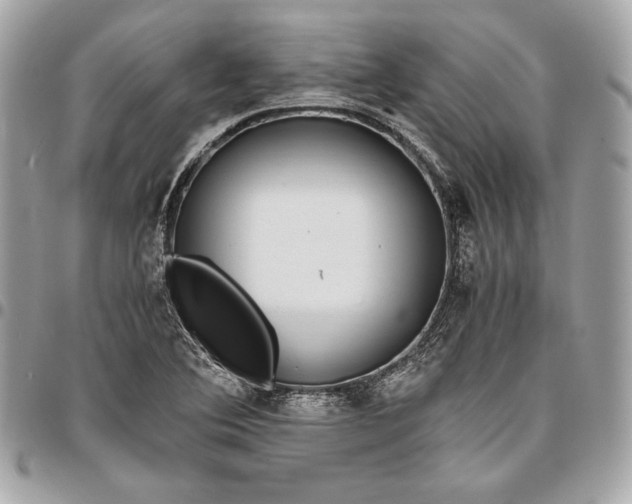 X0000096421364200802071653