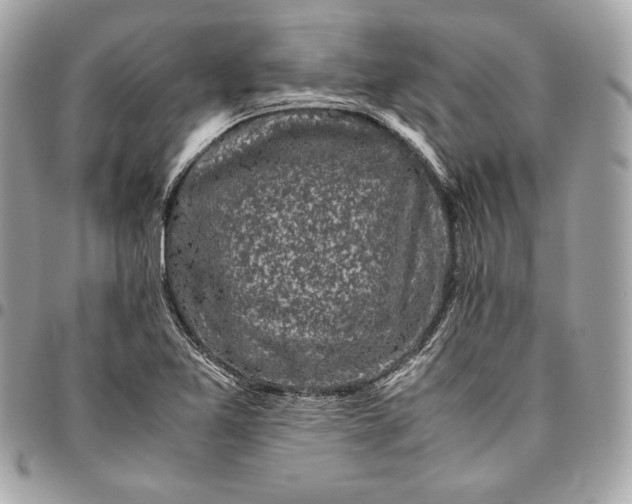 X0000096421365200802071653