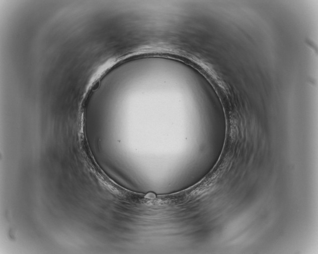 X0000096421366200802071653