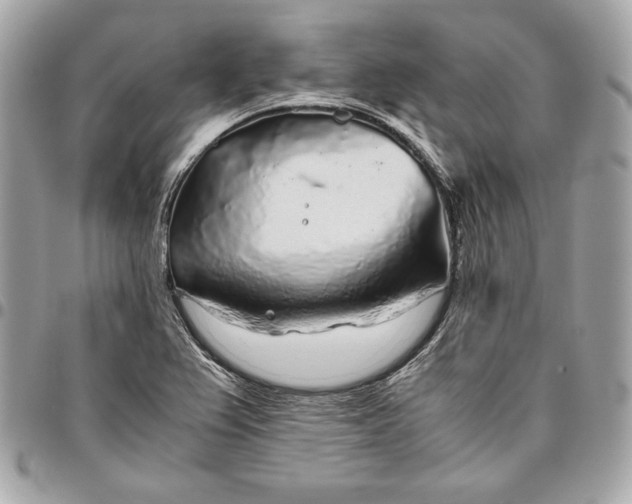 X0000096421367200802071653