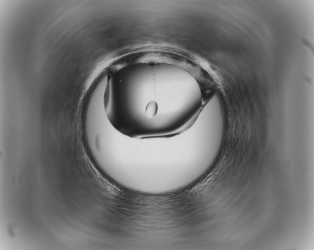 X0000096421368200802071653