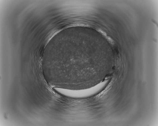 X0000096421369200802071653