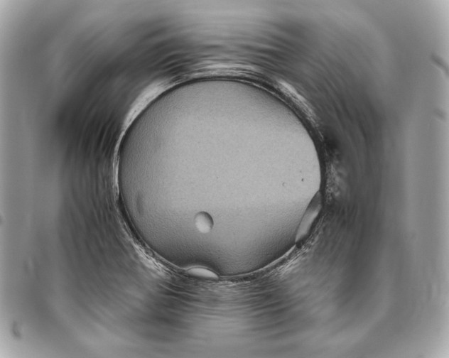 X0000096421370200802071653