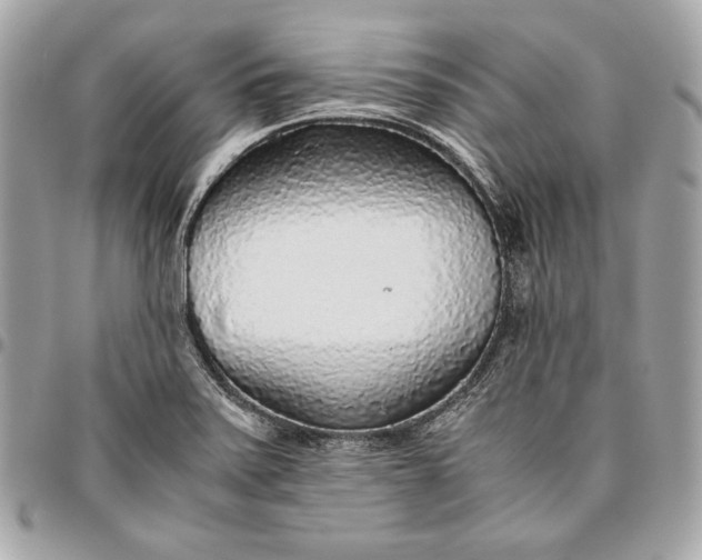 X0000096421371200802071653