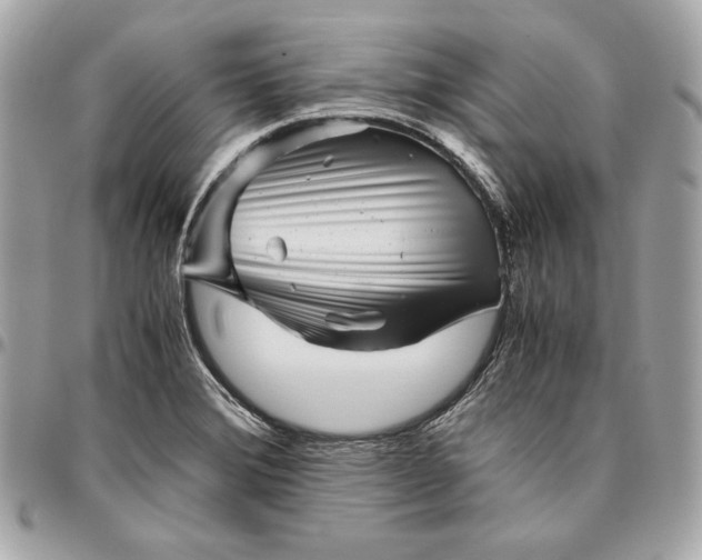 X0000096421372200802071653