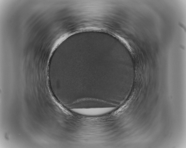 X0000096421373200802071653