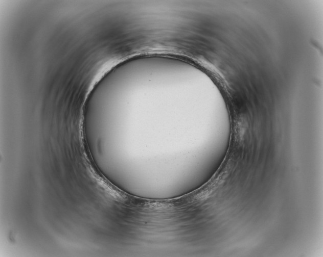 X0000096421374200802071653