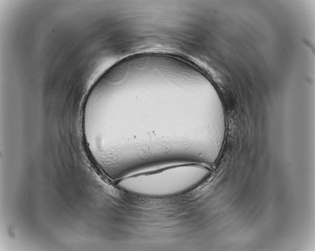 X0000096421375200802071653