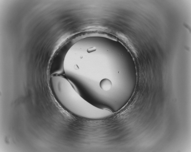 X0000096421376200802071653