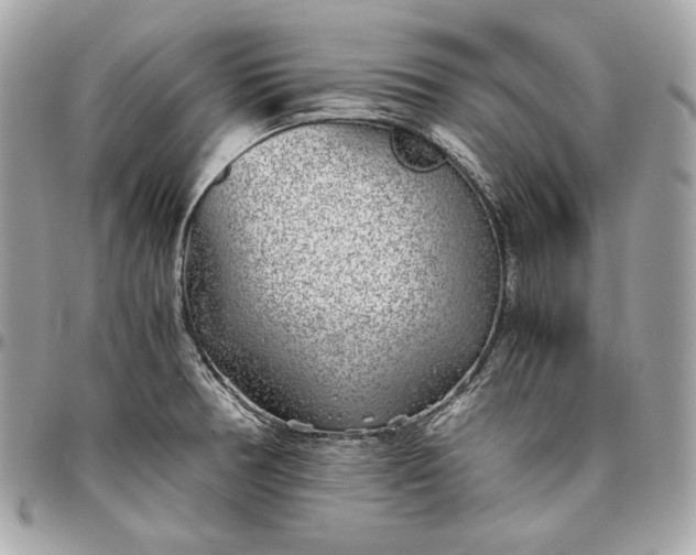 X0000096421378200802071653