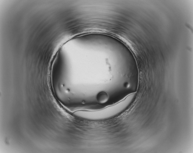 X0000096421379200802071653