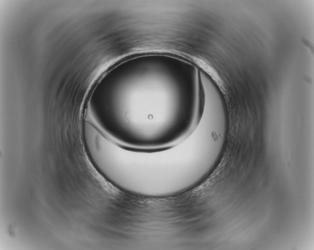 X0000096421380200802071653