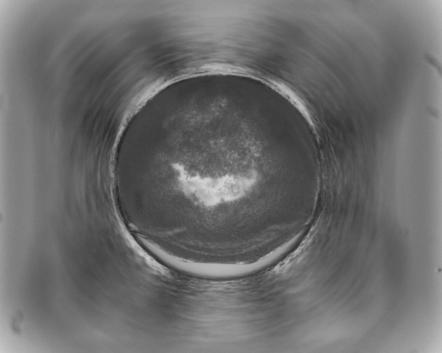 X0000096421381200802071653