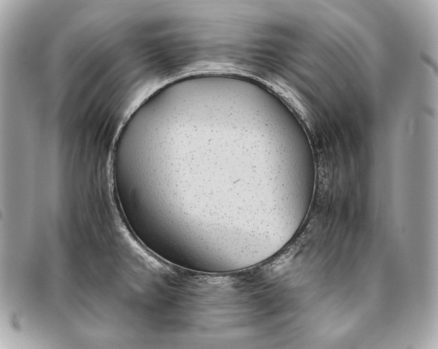 X0000096421382200802071653